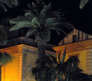 Sorrento