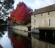 Chartres.