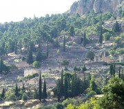 Δελφοί