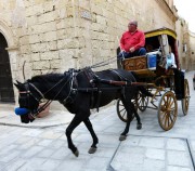 Mdina.