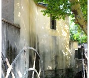 Avignon