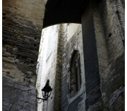 Avignon