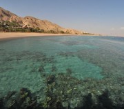 Coral Beach. Sarkanā jūra.