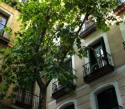 Madrid.