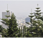 Haifa.