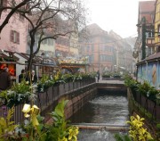 Colmar