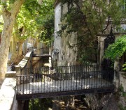 Avignon