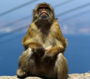 Gibraltar.
