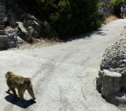 Gibraltar.