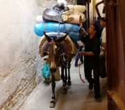 Fès.