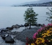 Montreux