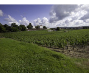Elzasas un Burgundijas vīnu ražošanas reģioni. 06/08/2023