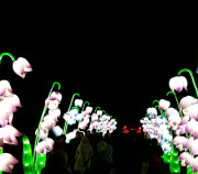 LIELĀS ĀZIJAS LATERNAS festivāls Lietuvā.  07/01/2023