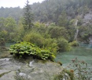 Horvātija - Itālija - Austrija. 30/08/2020