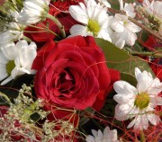 Mikolaiki, viesnīcā Gołębiewski 4* un  ūdens atrakciju parks Tropikana. 22/06/2026